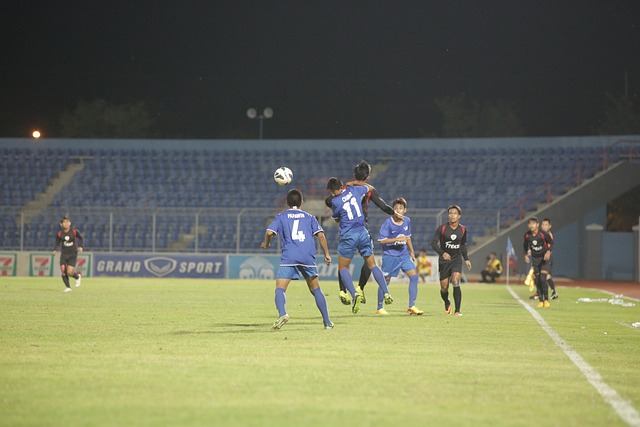 的花滑选手 的花滑选手