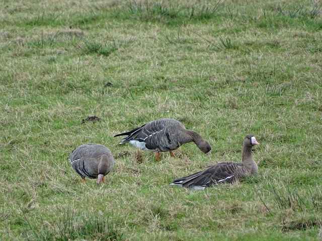 林良铭：我们注意力不够集中导致被逆转.
