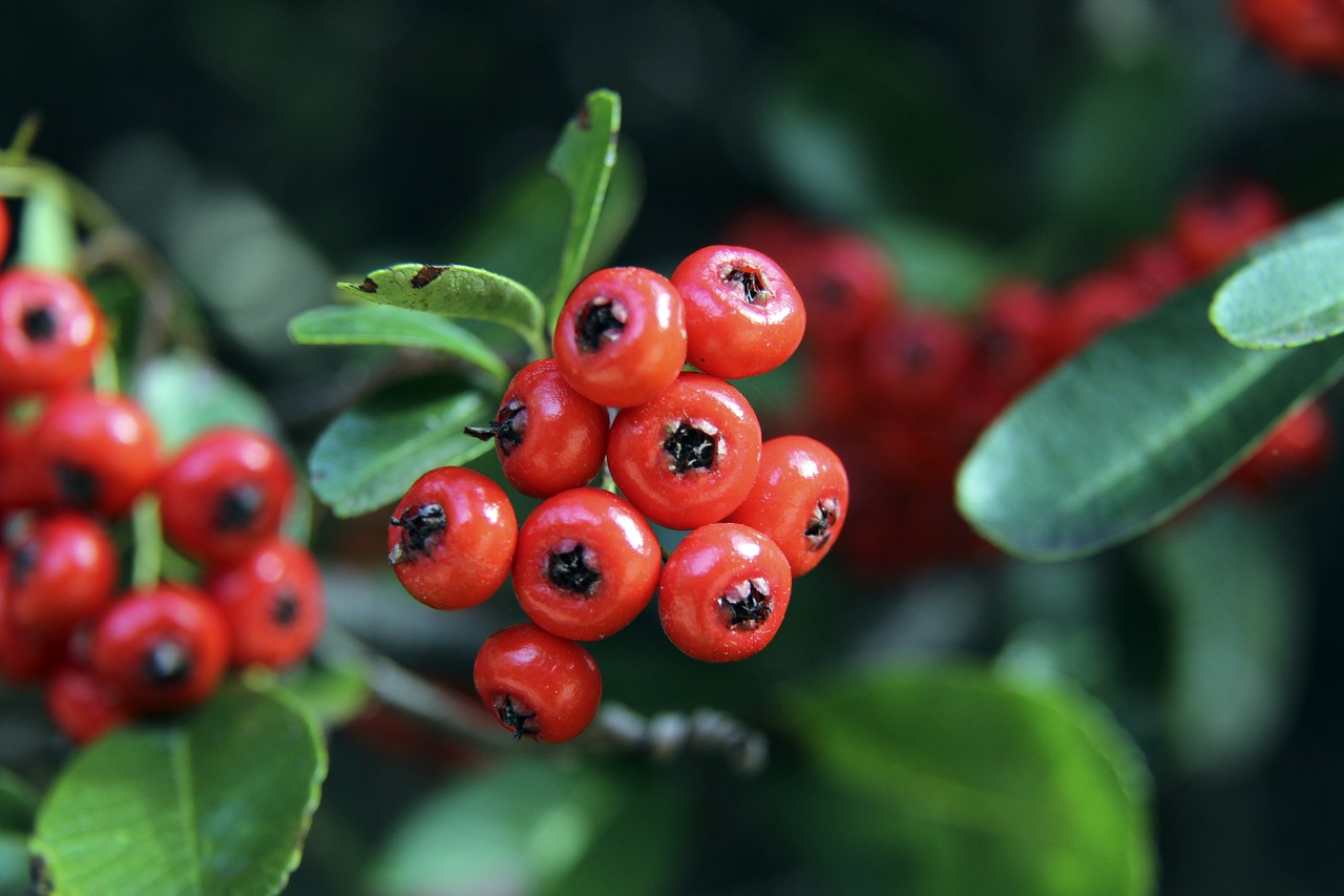 的开幕式再 的开幕式再
