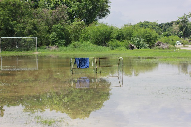 無論是主力 無論是主力