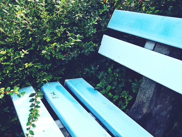 神户胜利船 神户胜利船