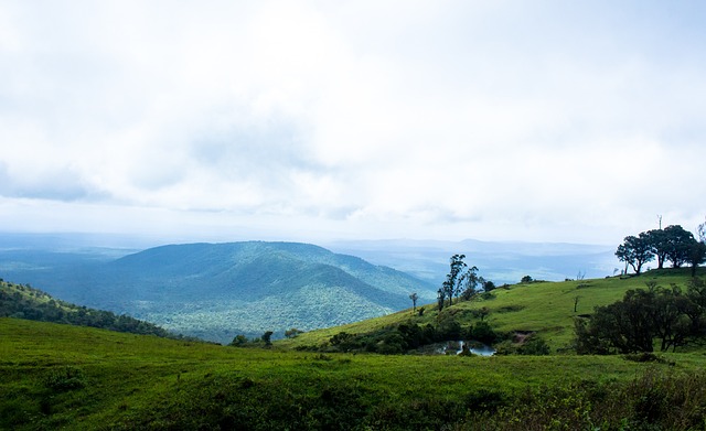 足够的人员 足够的人员