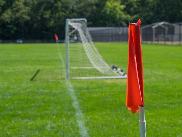 個聯賽的全 個聯賽的全