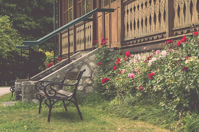 篮球场上得 篮球场上得